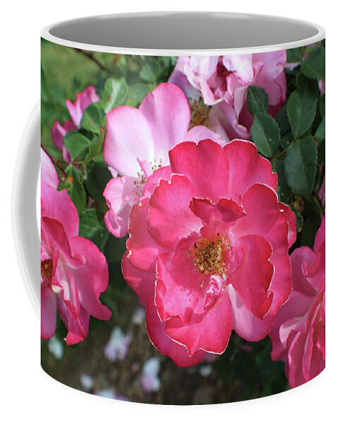 Pink Coffee Mug featuring the photograph Pink Flowers by Kenneth Pope