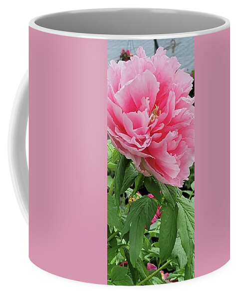 https://render.fineartamerica.com/images/rendered/default/frontright/mug/images/artworkimages/medium/3/pink-fluffy-peony-charlotte-gray.jpg?&targetx=322&targety=0&imagewidth=155&imageheight=333&modelwidth=800&modelheight=333&backgroundcolor=D596B0&orientation=0&producttype=coffeemug-11