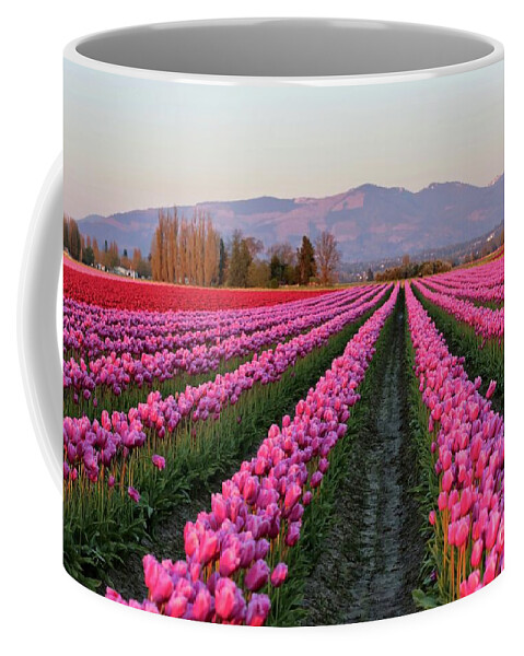 Tulips Coffee Mug featuring the photograph Pink Glowing Tulips Field by Carol Groenen