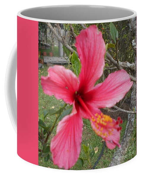 Pink Coffee Mug featuring the photograph Pink Hibiscus by Nancy Graham
