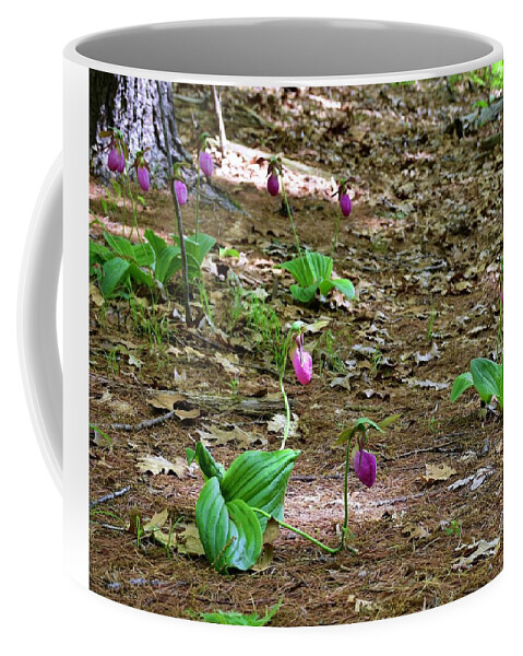 Pink Lady's Slippers Coffee Mug featuring the photograph Pink lady's slippers by Monika Salvan