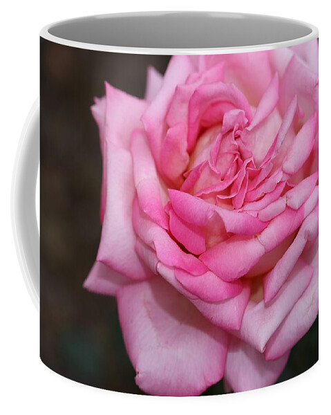 Rose Coffee Mug featuring the photograph Pink Layers by Mingming Jiang