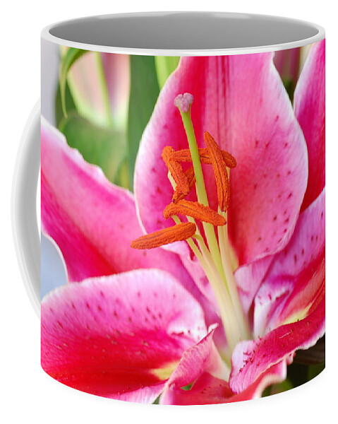 Lily Coffee Mug featuring the photograph Pink Lily 3 by Amy Fose