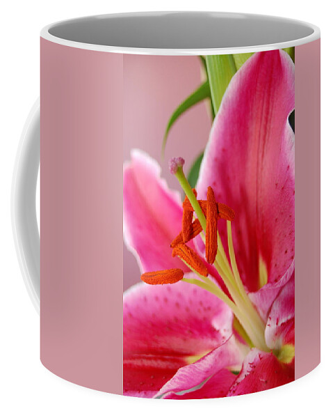 Lily Coffee Mug featuring the photograph Pink Lily 6 by Amy Fose