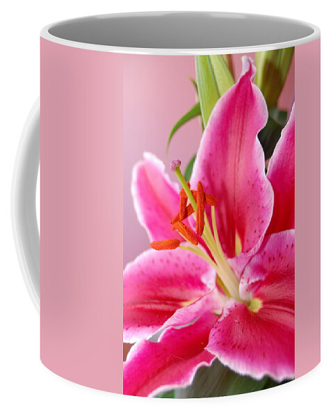 Lily Coffee Mug featuring the photograph Pink Lily 7 by Amy Fose