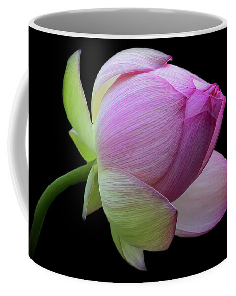 Pink Coffee Mug featuring the photograph Pink Lotus Bud by Gary Geddes