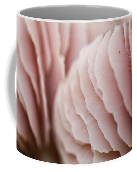 Mushroom Coffee Mug featuring the photograph Pink Mushroom by Martin Vorel Minimalist Photography