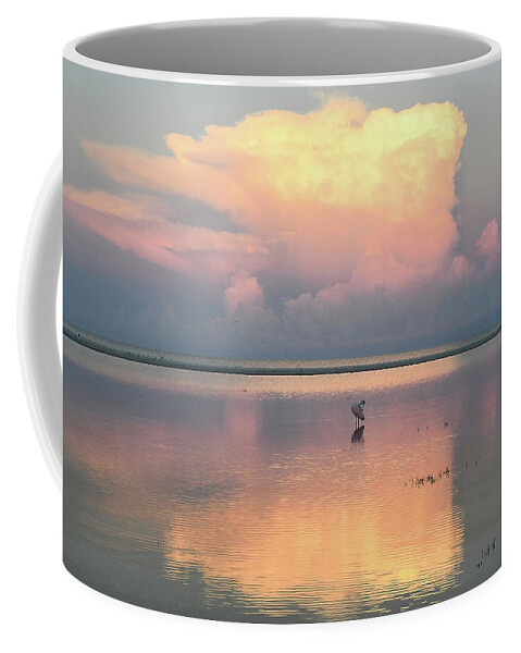 Sunrise Coffee Mug featuring the photograph Pink on Pink by Jim Bennight