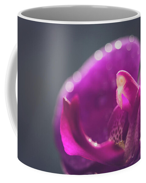 Phalaenopsis Coffee Mug featuring the photograph Pink Orchid Phalaenopsis macro by Cristina Stefan