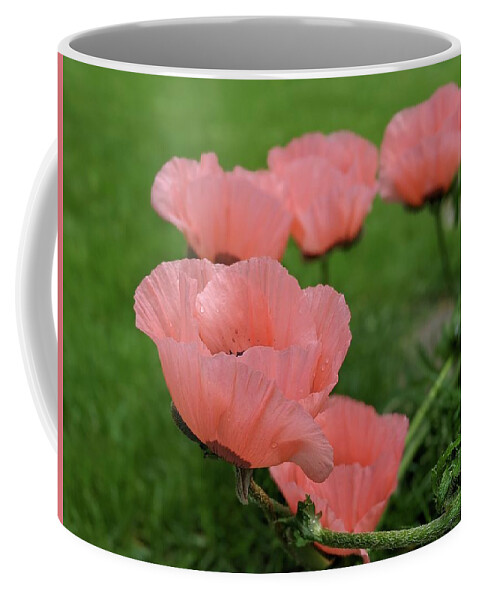 Poppy Coffee Mug featuring the photograph Pink poppy parade by Lisa Mutch