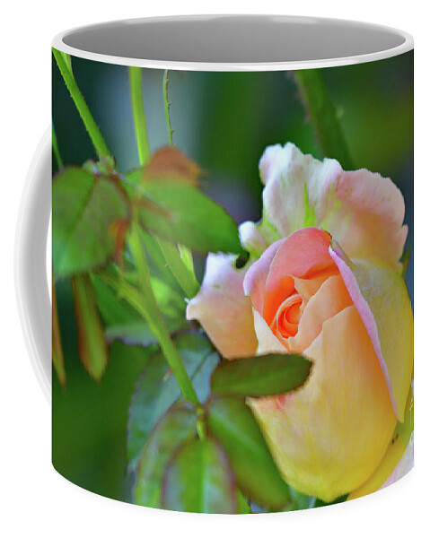 Pink Rose Coffee Mug featuring the photograph Pink Rose by Amazing Action Photo Video