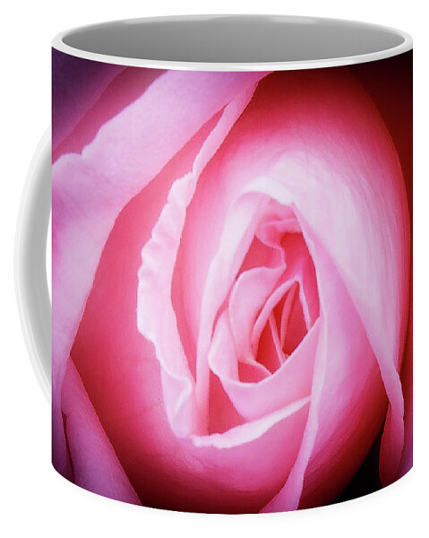 Pink Rose Coffee Mug featuring the photograph Pink Rose by David Morehead