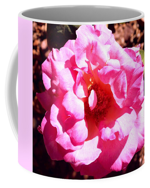 Rose Coffee Mug featuring the photograph Pink Rose by Dietmar Scherf