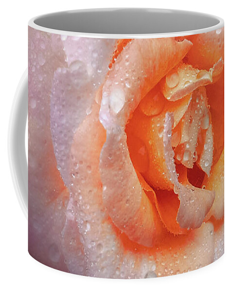Blooms Coffee Mug featuring the photograph Pink Rose with textured background by Sue Leonard