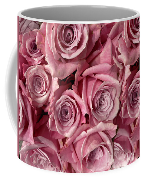 Pink Roses Coffee Mug featuring the photograph Pink Roses by Karen Zuk Rosenblatt