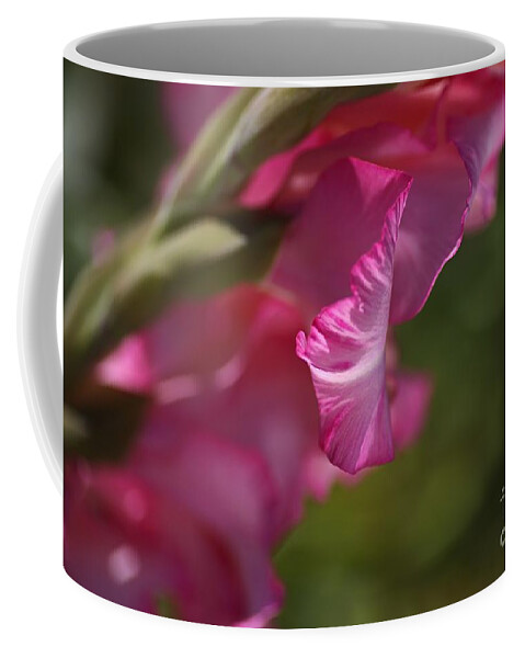 Hortulanus Art Coffee Mug featuring the photograph Pink Side Of Gladioli by Joy Watson