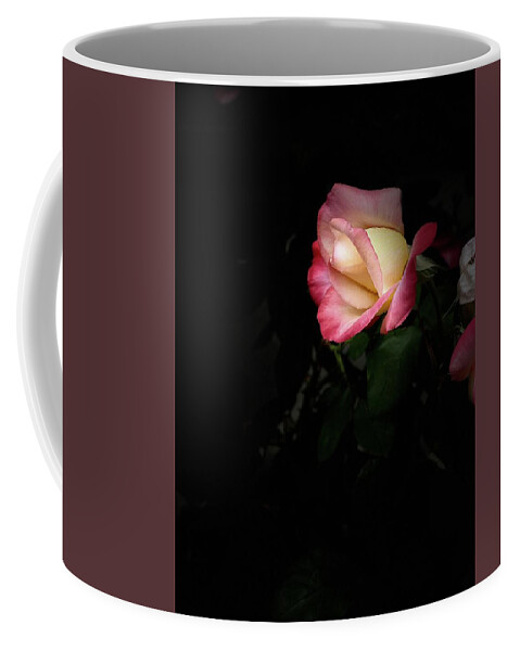 Rose Pink Tipped Black Background Yellow Sandiego Backyard Sooc Coffee Mug featuring the digital art Pink Tipped Rose by Kathleen Boyles