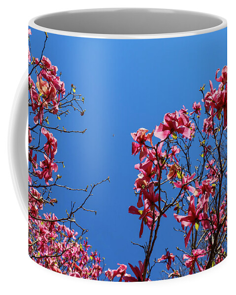 Tree Coffee Mug featuring the photograph Pink Trees at Smith-Gilbert Botanical Gardens by Marcus Jones