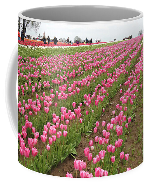 Tulips Coffee Mug featuring the photograph Pink Tulips by Scott Cameron