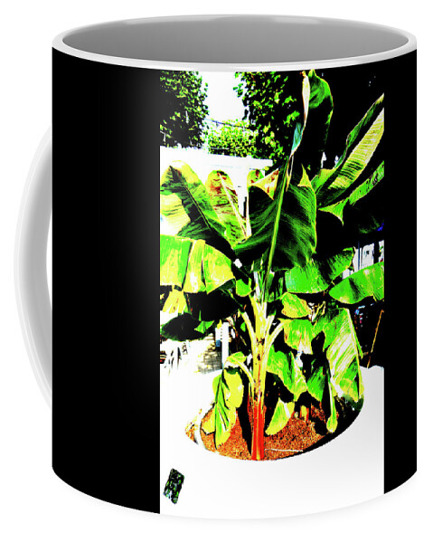 Plant Coffee Mug featuring the photograph Plant At Promenade In Sopot, Poland by John Siest
