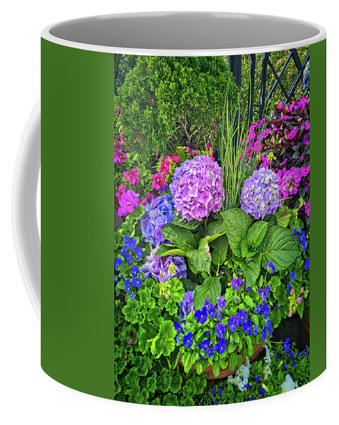 Flower Coffee Mug featuring the photograph Planter Pots Disney Style by Portia Olaughlin