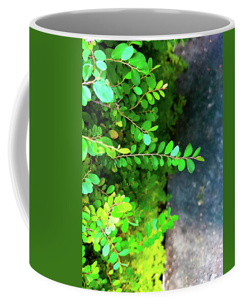 Grass Coffee Mug featuring the photograph Plants by Faa shie