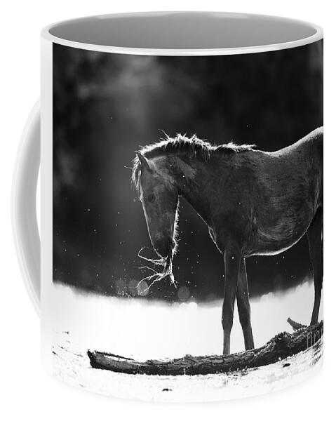 Salt River Wild Horse Coffee Mug featuring the photograph Playing With Food by Shannon Hastings