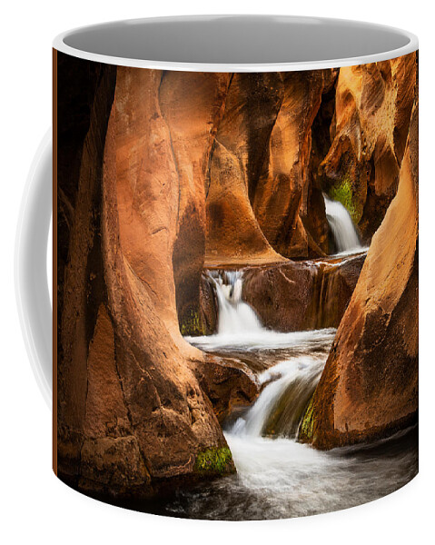 Waterfalls Coffee Mug featuring the photograph Pleasant Creek by Peter Boehringer