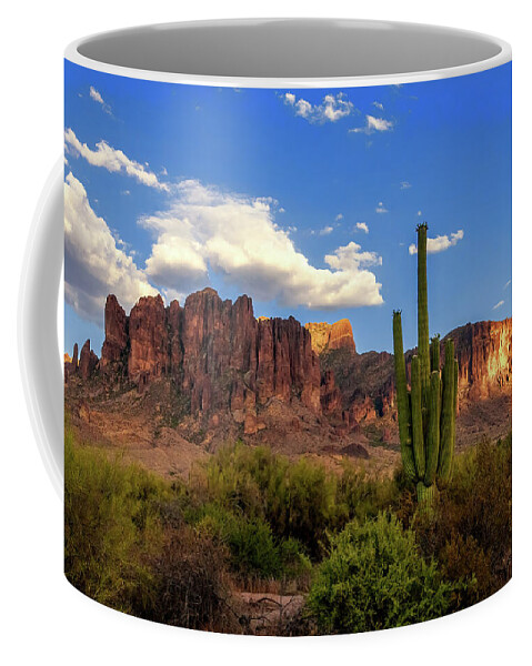 American Southwest Coffee Mug featuring the photograph Pleasantries in the Sonoran by Rick Furmanek