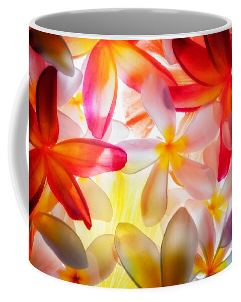 Photograph Coffee Mug featuring the photograph Plumerias in Bloom Bouquet by John A Rodriguez