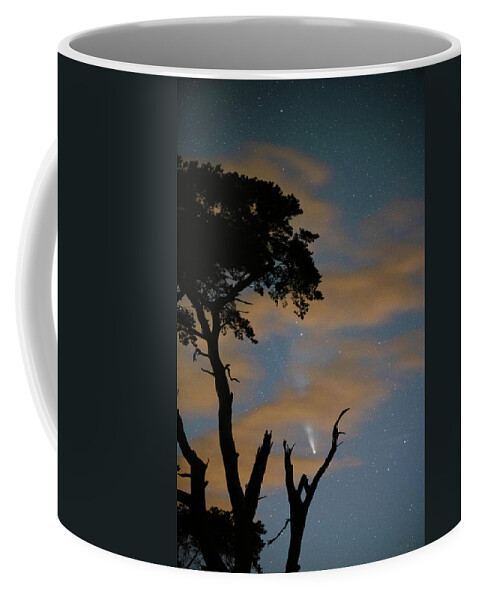 Tree Coffee Mug featuring the photograph Poetry In Motion by Rob Hemphill