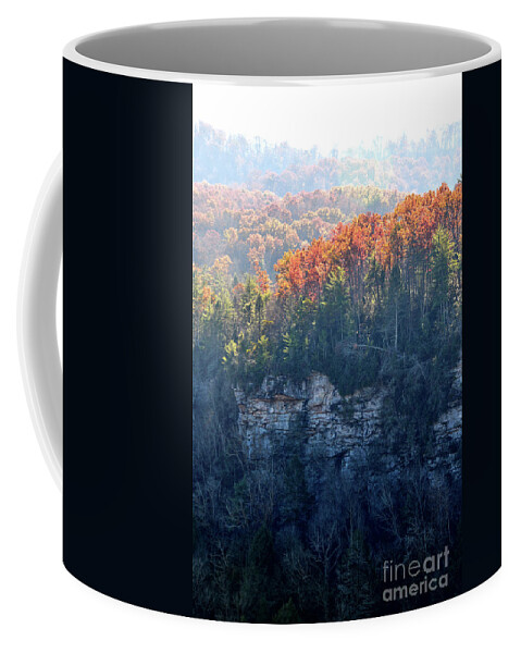 Nature Coffee Mug featuring the photograph Point Trail At Obed 5 by Phil Perkins