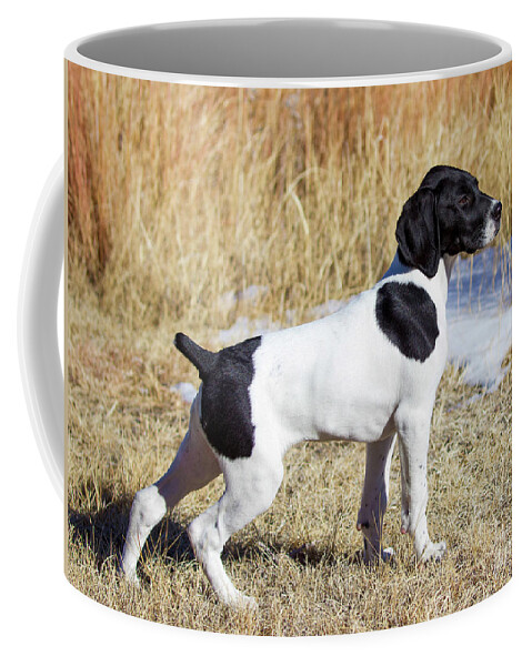 Bird Dog Coffee Mug featuring the photograph Pointer Pup by Shirley Dutchkowski