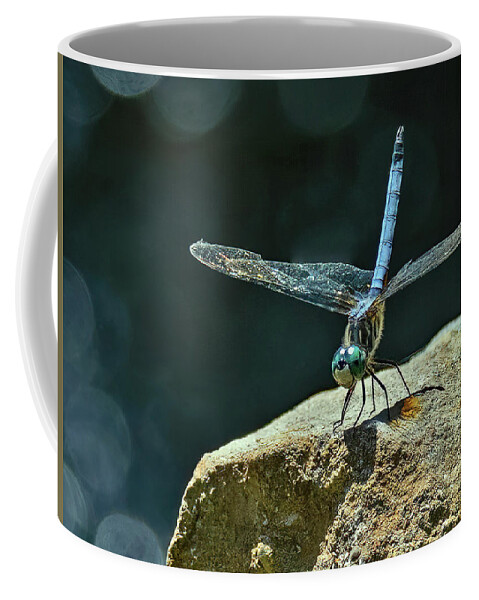 Dragonfly Coffee Mug featuring the photograph Poised For Takeoff by Gina Fitzhugh
