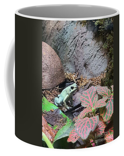 Poison Coffee Mug featuring the photograph Poison Dart Frog 2 by Elena Pratt