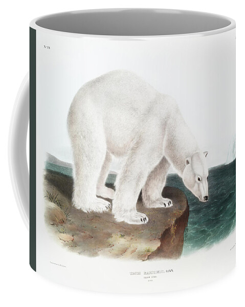 American Animals Coffee Mug featuring the mixed media Polar Bear John Woodhouse Audubon by World Art Collective