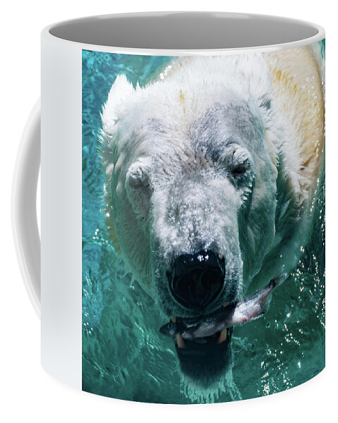 Polar Bear Portrait Coffee Mug featuring the photograph Polar Bear Portrait 001 by Flees Photos