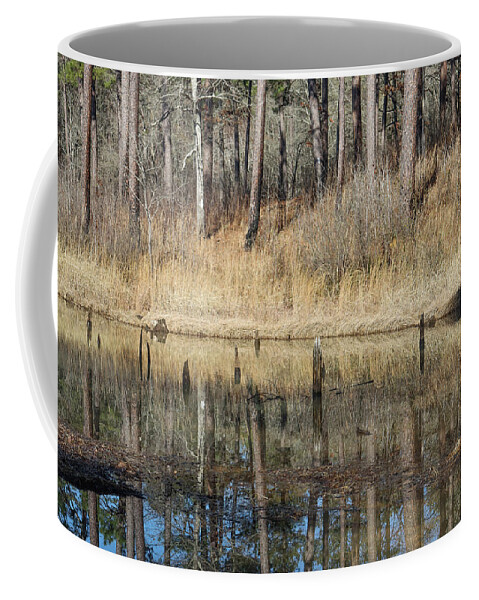 Pond Coffee Mug featuring the photograph Pond Trees Reflections by Ed Williams