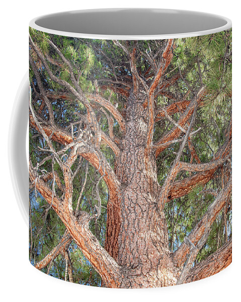 Ponderosa Pine Coffee Mug featuring the photograph Ponderosa Pine Perspective by Marcy Wielfaert