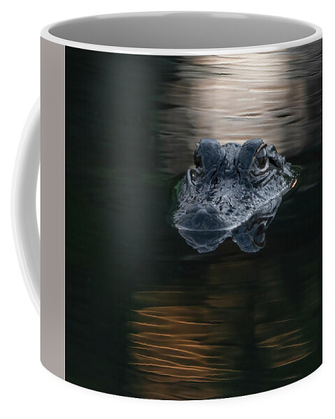 Aligator Coffee Mug featuring the photograph Ponte Vedra Gator by Larry Marshall