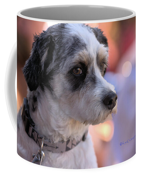 Dog Coffee Mug featuring the photograph Poochapoodle by Kae Cheatham