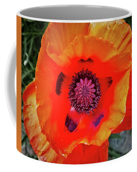 Flower Coffee Mug featuring the photograph Poppy by Dan Eskelson