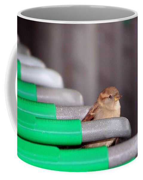 Birds Coffee Mug featuring the photograph Popup Shopper by Kimberly Furey