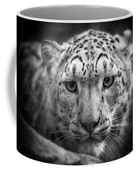 Snow Leopard Coffee Mug featuring the photograph Portrait of a Snow Leopard - b/w by Chris Boulton
