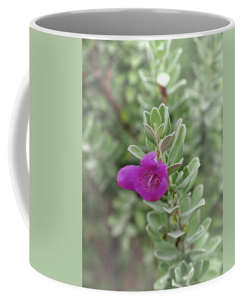 Flower Coffee Mug featuring the photograph Portrait of a Solitary Flower by James C Richardson