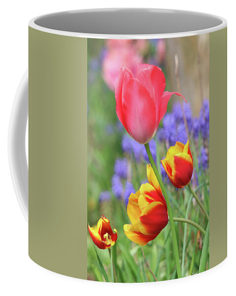 Flowers Coffee Mug featuring the photograph Portrait of Lovely Tulips by Trina Ansel