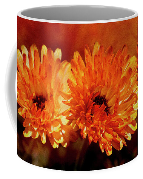 Calendula Coffee Mug featuring the photograph Pot Marigold or Calendula by Diane Schuster
