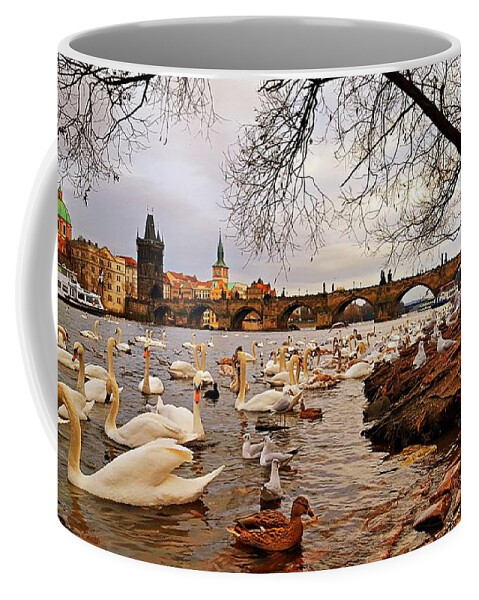Prague Coffee Mug featuring the photograph Prague Charles Bridge View with Swans and Seagulls by Amalia Suruceanu