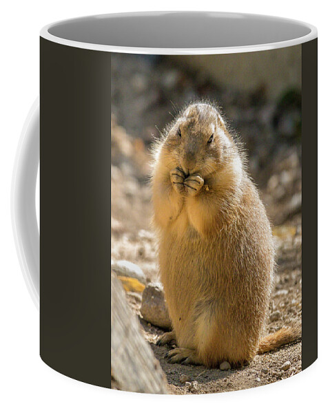 Zoo Boise Coffee Mug featuring the photograph Prairie Dog by Mark Mille