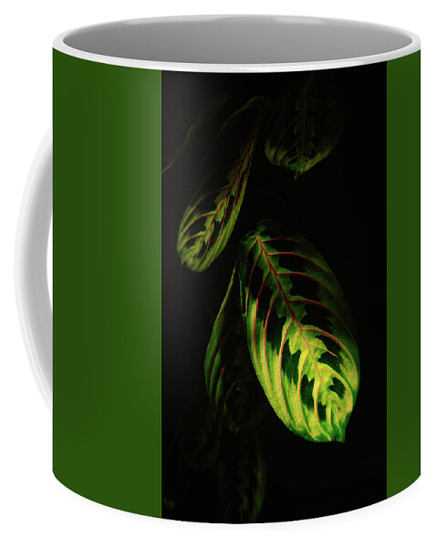 New Hampshire Coffee Mug featuring the photograph Prayer Plant. by Jeff Sinon